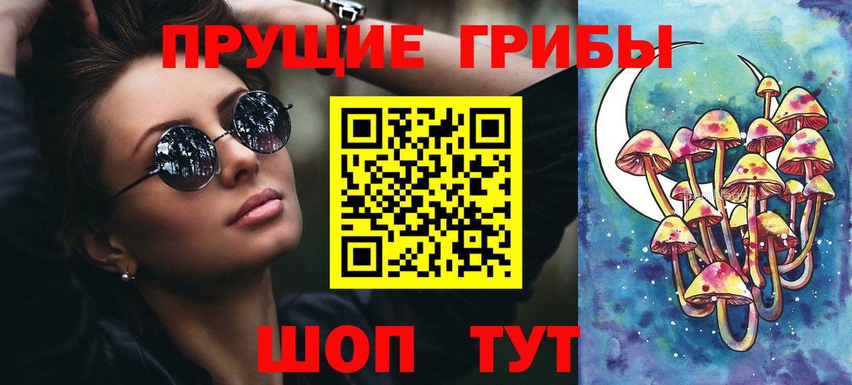 Псилоцибиновые грибы GOLDEN TEACHER Бирск
